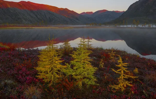 Autumn, landscape, mountains, nature, lake, reflection, vegetation, morning