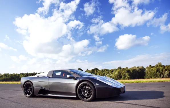 Trees, track, supercar, Supercar, Arrinera