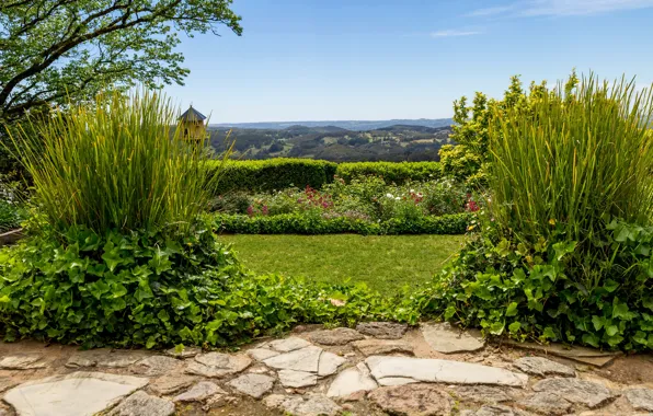 Greens, grass, trees, landscape, flowers, Australia, the bushes, Adelaide
