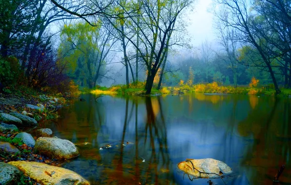 Picture sadness, autumn, water, trees, fog, pond, stones, mood