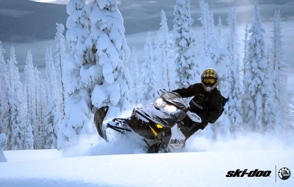 Forest, snow, sport, sport, snow, snowmobile, 600, backcountry