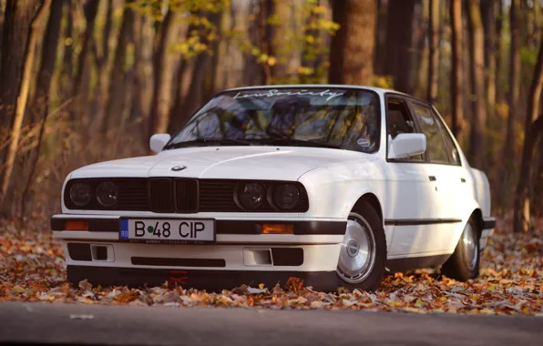 BMW, White, E30