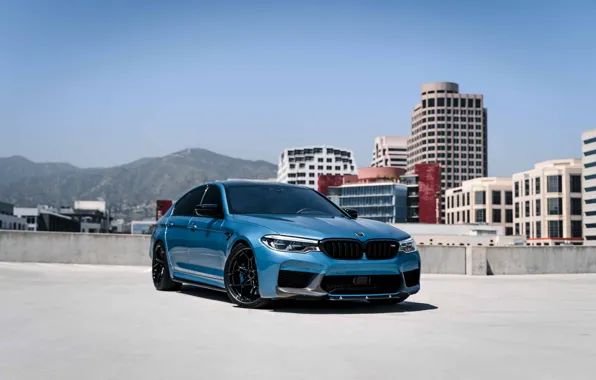 Picture BMW, Blue, Sight, F90