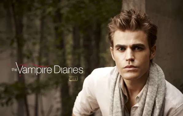 The series, 2010, The vampire diaries, Stefan Salvatore