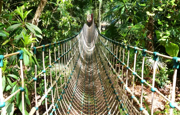 Picture Plants, Track, Rope, Rope walkway