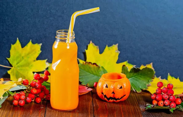 Photo, juice, Halloween, pumpkin, Rowan