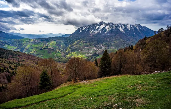 Forest, clouds, trees, mountains, field, spring, valley, slope