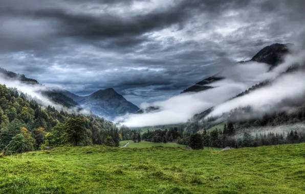 Forest, clouds, mountains, nature, fog, meadow