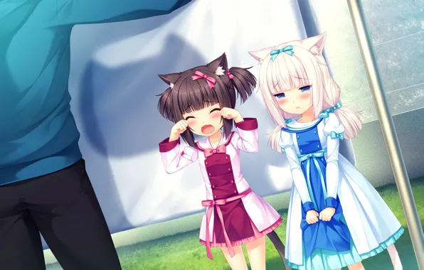 Guy, Girls, Crying, Nekopara