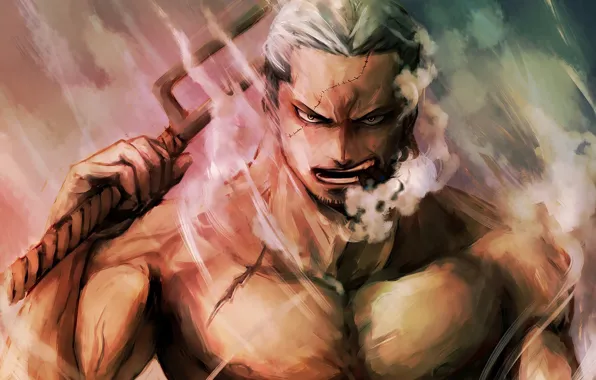 Anime, pirate, guy, One Piece