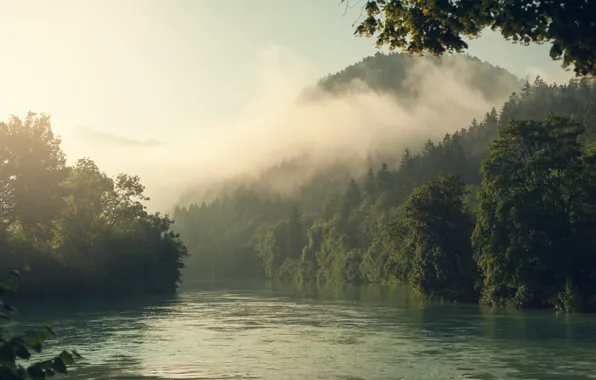 Forest, landscape, mountains, nature, fog, river, morning, Alps