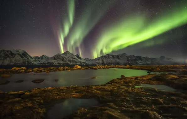 Picture the sky, stars, mountains, night, Northern lights, Norway