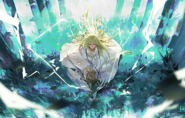 Look, power, guy, Fate / Grand Order