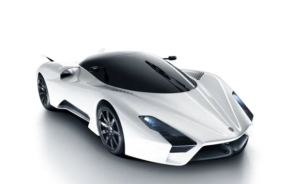 Picture 2012, SSC, Tuatara