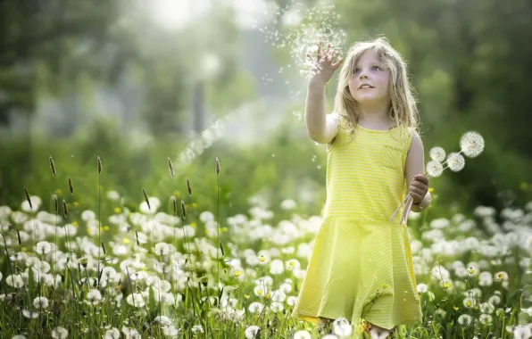 Summer, dandelion, girl