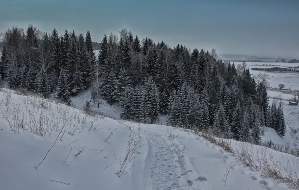 Winter, the sky, trees, dal, Mountain, path, Ural