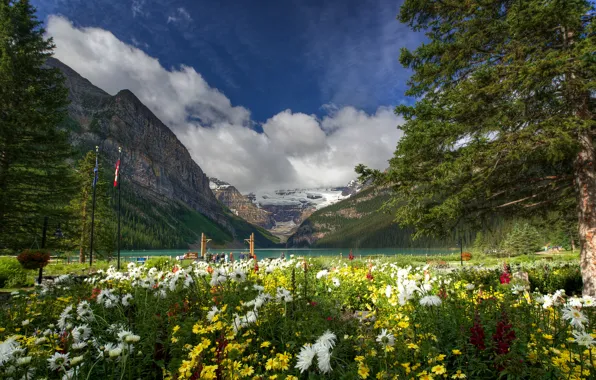 Picture trees, flowers, mountains, nature, lake, Canada, Banff National Park, Lake Louise