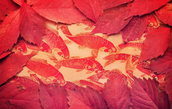 Picture leaves, fish, background, color