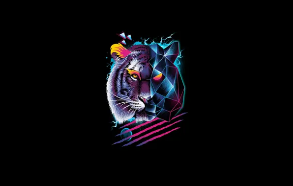 Minimalism, Tiger, Cat, Style, Background, Face, Predator, Art