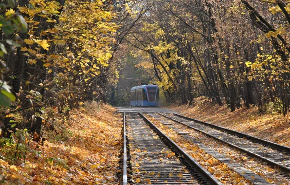 Autumn, tram, falling leaves