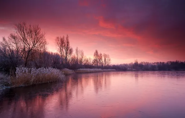 Picture night, nature, river