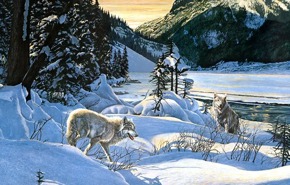 Winter, forest, light, snow, mountains, branches, nature, pose