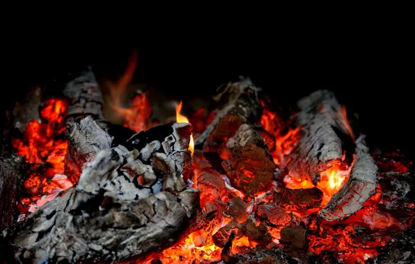 Lights, ash, the fire, wood, smoldering