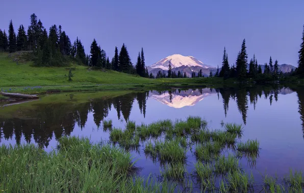 Picture forest, grass, landscape, mountains, lake, reflection, Nature, the evening