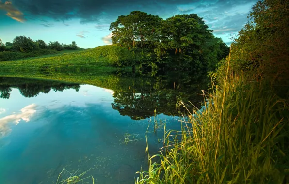 Picture trees, nature, lake, shore