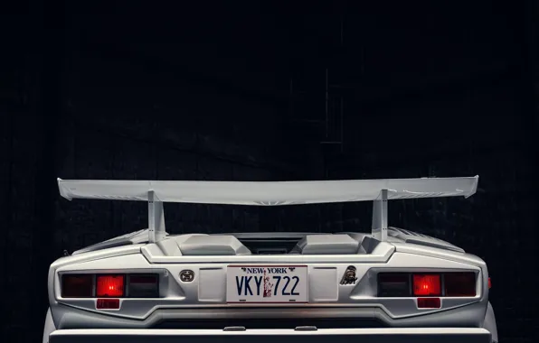 Picture Lamborghini, rear, Countach, bull, 1989, badge, Lamborghini Countach 25th Anniversary