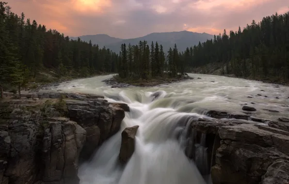 Picture forest, rocks, waterfall, stream