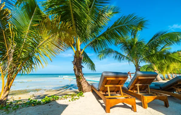 Sand, sea, beach, summer, the sky, the sun, palm trees, shore