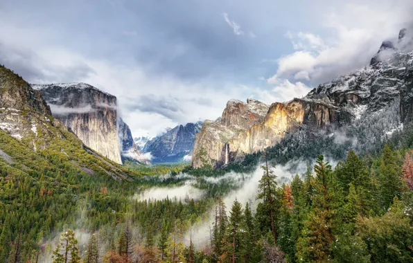 Picture forest, mountains, nature, Park, photo, USA, Yosemite