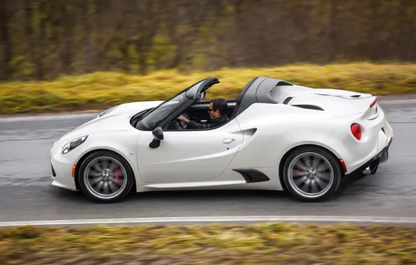 Grass, Forest, Profile, Alfa Romeo, Spider, Alfa Romeo