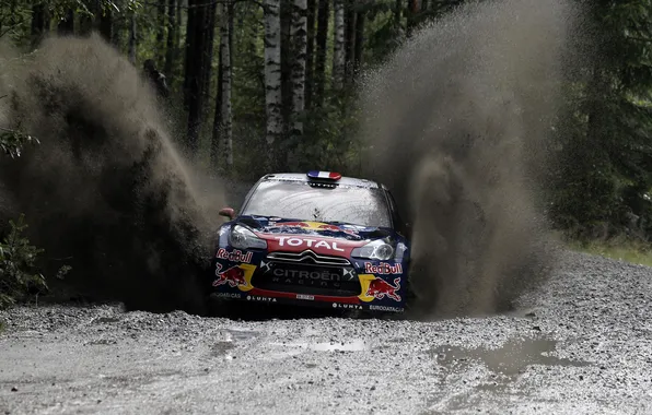 Picture Sport, Machine, Speed, Race, Citroen, Red Bull, Rally