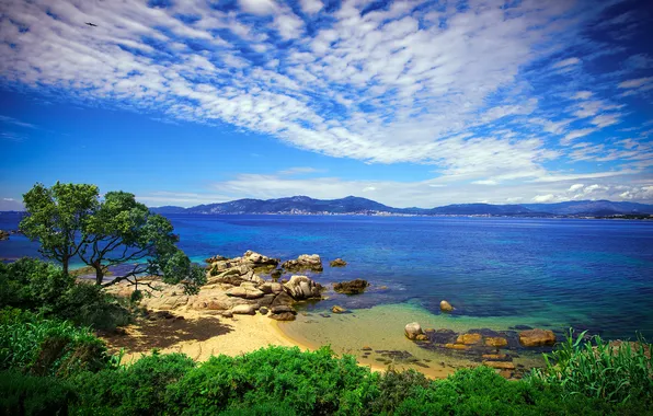 France, France, Corsica, Corsica, Ajaccio, Ajaccio