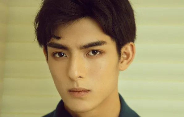 Look, portrait, guy, actor, chinese actor, Wang Hao Xuan, Wang Hao Xuan