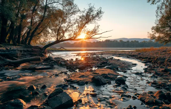 Nature, river, morning