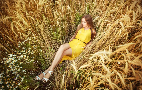 Wheat, field, girl, chamomile, dress, ears, in yellow