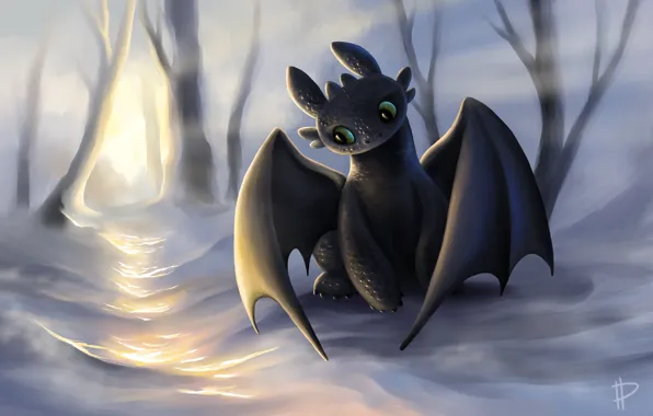 Picture look, the sun, snow, dragon, the game, art, how to train your dragon, the night …