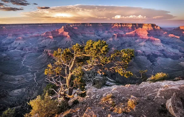 Landscape, Arizona, Grand Canyon, National Park