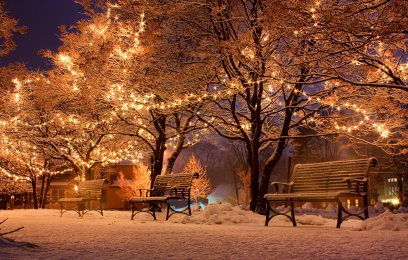 Winter, snow, night, city, the city, lights, street, benches