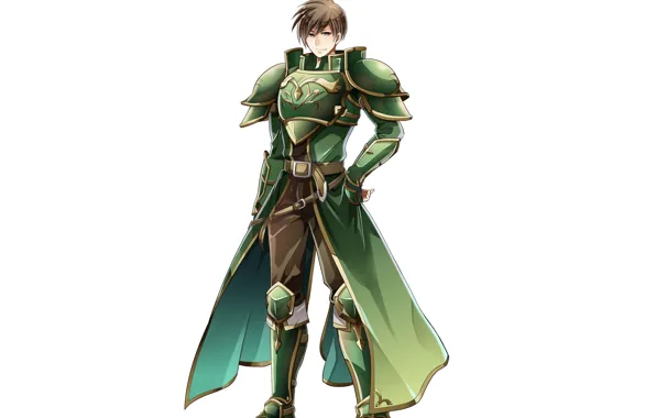 The game, guy, heroes, Fire Emblem, Fire Emblem Heroes