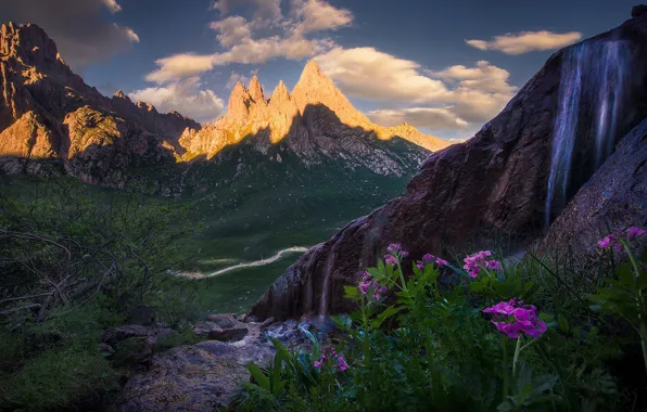Flowers, mountains, stones, rocks, the slopes, tops, waterfall, lighting