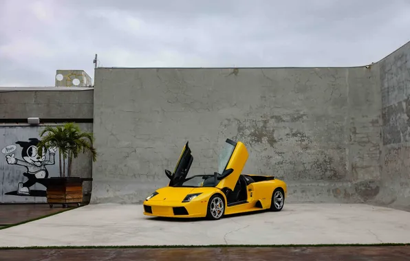 Car, Lamborghini, sky, clouds, Lamborghini Murcielago Roadster, italian cars, yellow cars