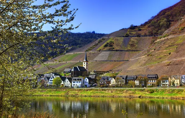 Picture field, the sky, mountains, the city, lake, home