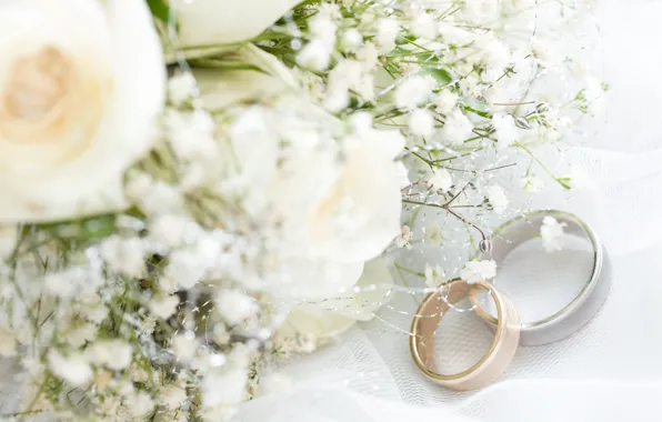 Flowers, fabric, flowers, engagement rings, cloth, wedding rings