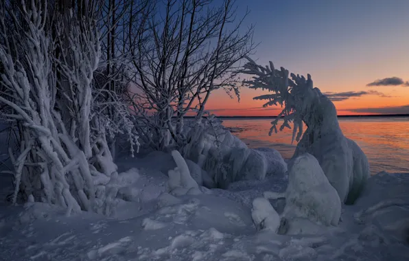Picture winter, snow, trees, sunset, lake, Canada, Ontario, Canada