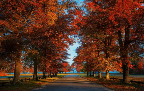 Picture road, autumn, Park, foliage, alley