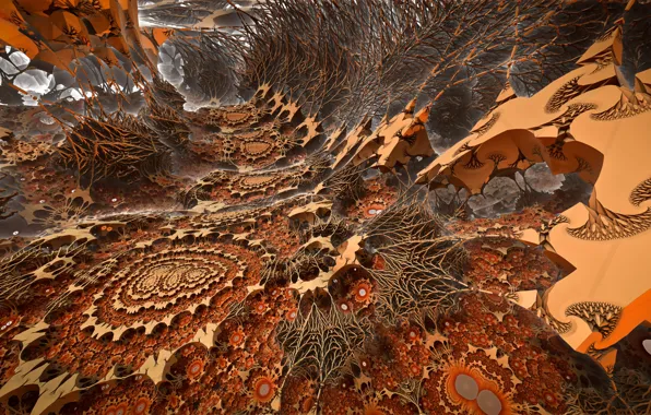 Abstraction, color, form, Along the hedgerow